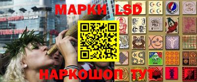 трава Абакан
