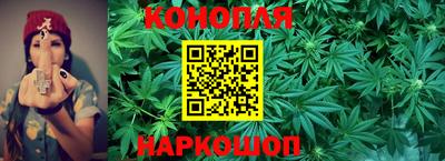 трава Абакан