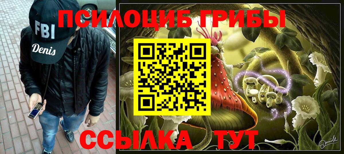 Апатиты  Галлюциногенные грибы Magic Shrooms  Вход с VPN 