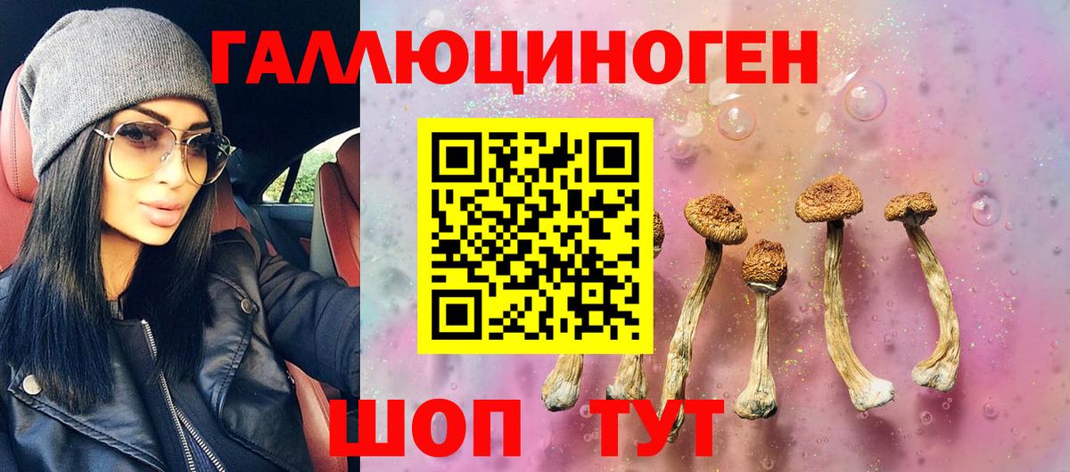 Галлюциногенные грибы MAGIC MUSHROOMS Апатиты